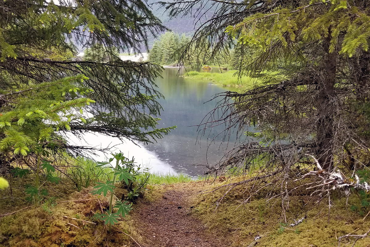 Mendenhall Lake