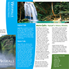 newsletter1