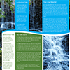 newsletter2